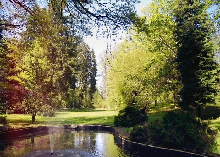 In Czech Forest With Pool *